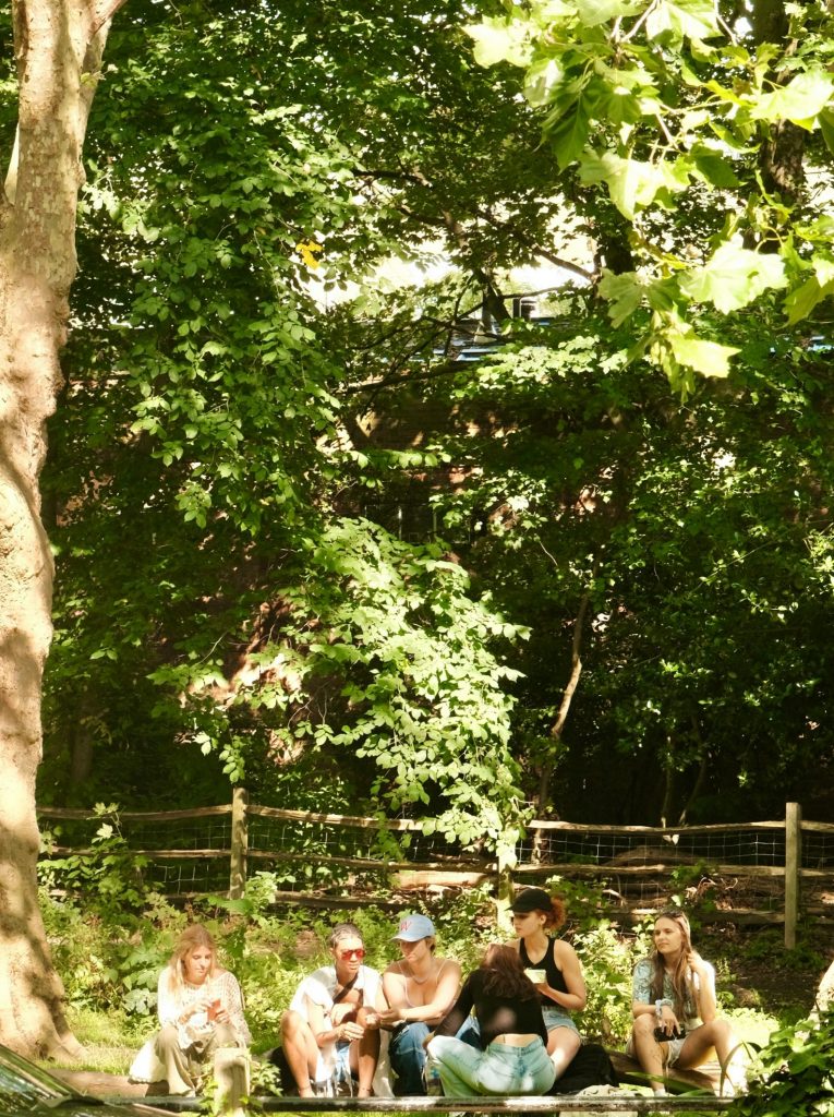 circle song rando chant improvisé en pleine nature Ardeche